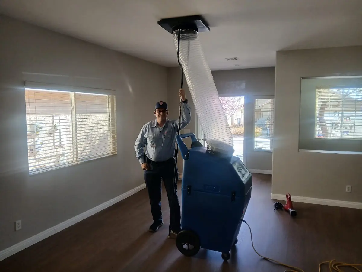 Professional Dryer Vent Cleaning work inside a Franklin home
